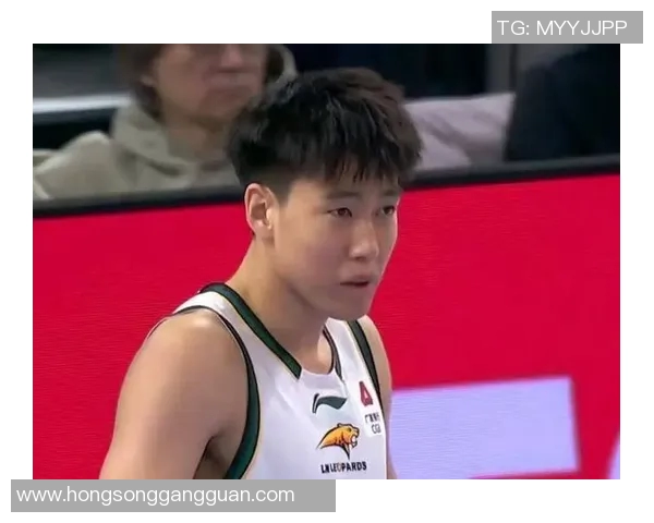 新疆与辽宁第五场激战回顾赛场精彩瞬间与球员表现分析